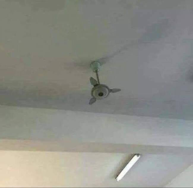 Thư giãn với loạt ảnh hài hước ngày đầu tuần ảnh 5 Thư giãn với loạt ảnh hài hước ngày đầu tuần ảnh 5