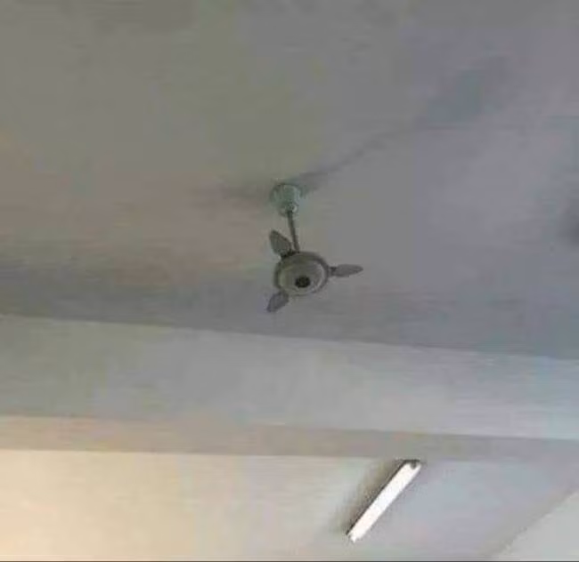 Thư giãn với loạt ảnh hài hước ngày đầu tuần ảnh 5