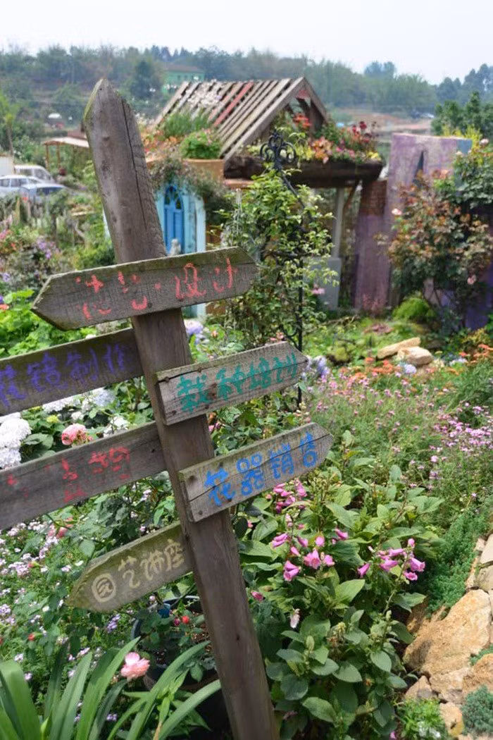 Mãn nhãn khu vườn đẹp như mê cung của người đàn ông yêu thích làm vườn ảnh 30