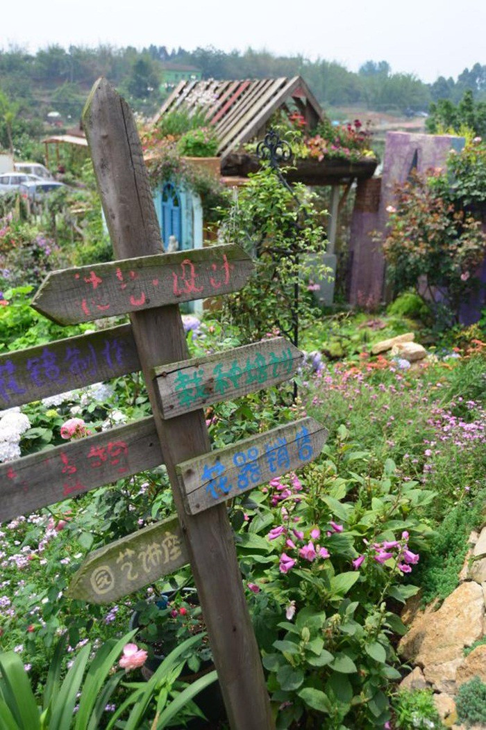 Mãn nhãn khu vườn đẹp như mê cung của người đàn ông yêu thích làm vườn ảnh 30