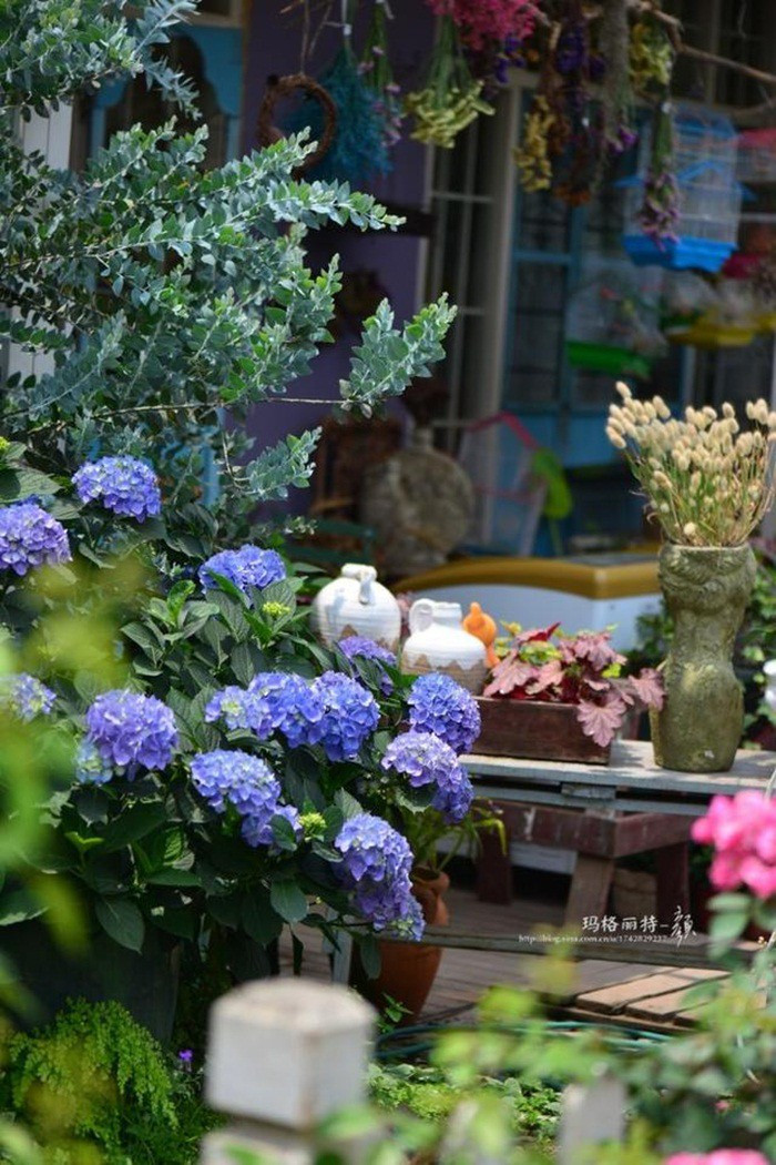 Mãn nhãn khu vườn đẹp như mê cung của người đàn ông yêu thích làm vườn ảnh 4