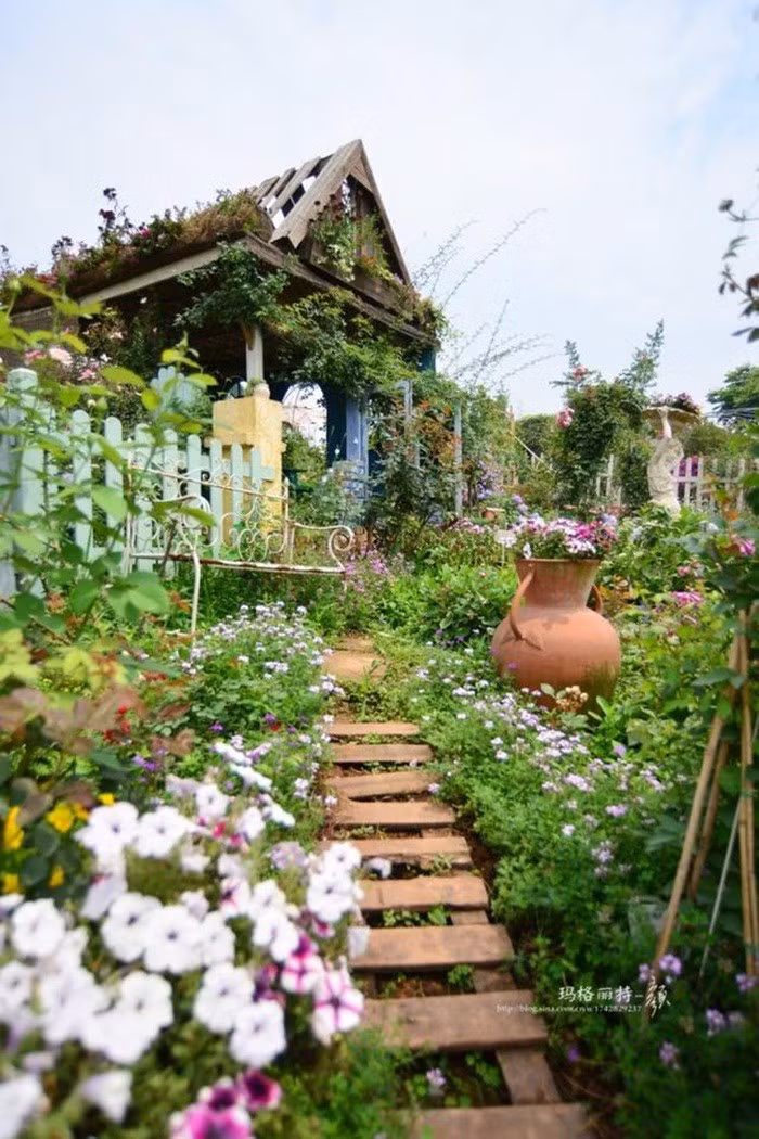 Mãn nhãn khu vườn đẹp như mê cung của người đàn ông yêu thích làm vườn ảnh 35