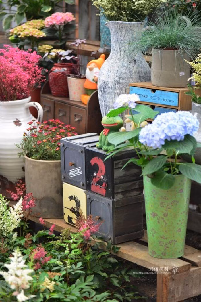 Mãn nhãn khu vườn đẹp như mê cung của người đàn ông yêu thích làm vườn ảnh 41