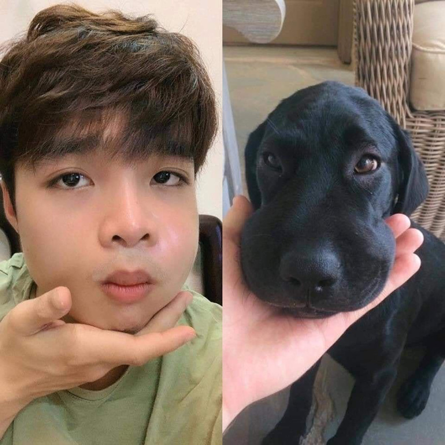 Thư giãn với loạt ảnh hài hước ngày đầu tuần ảnh 8 Thư giãn với loạt ảnh hài hước ngày đầu tuần ảnh 8