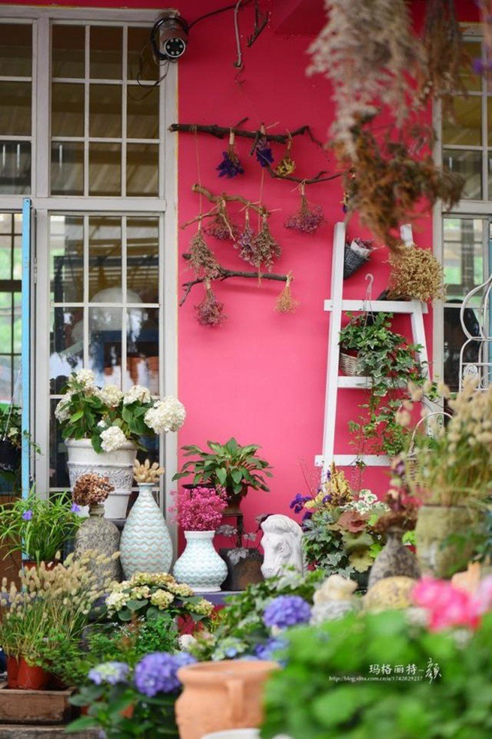 Mãn nhãn khu vườn đẹp như mê cung của người đàn ông yêu thích làm vườn ảnh 6