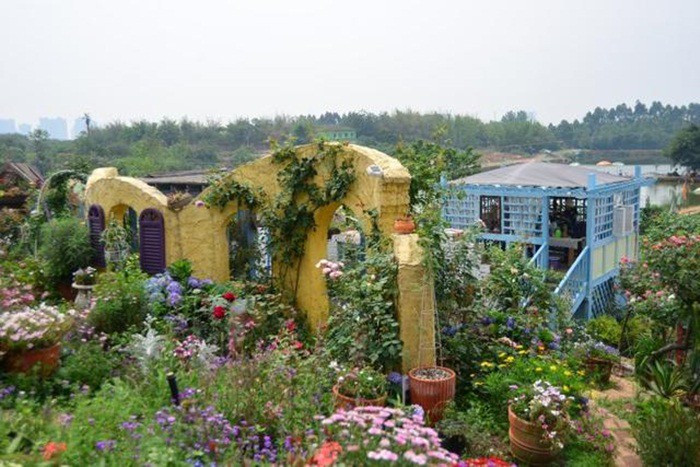 Mãn nhãn khu vườn đẹp như mê cung của người đàn ông yêu thích làm vườn ảnh 42