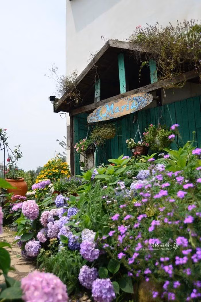 Mãn nhãn khu vườn đẹp như mê cung của người đàn ông yêu thích làm vườn ảnh 31