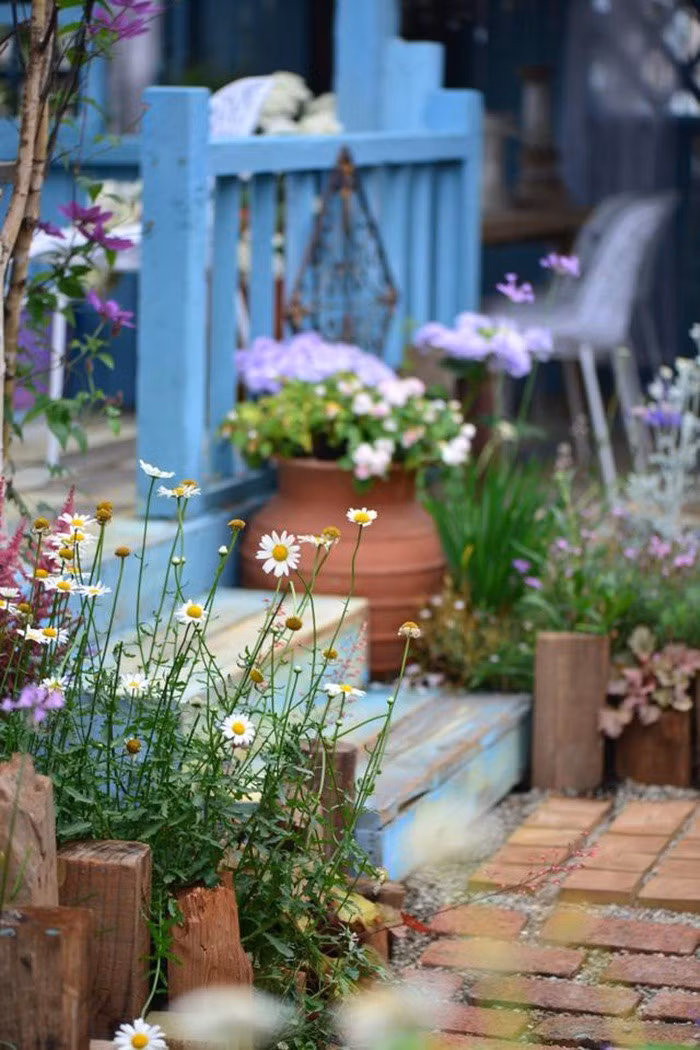 Mãn nhãn khu vườn đẹp như mê cung của người đàn ông yêu thích làm vườn ảnh 37