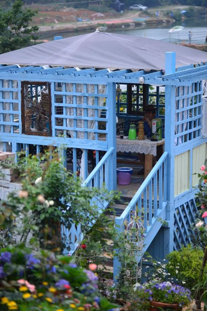 Mãn nhãn khu vườn đẹp như mê cung của người đàn ông yêu thích làm vườn ảnh 8