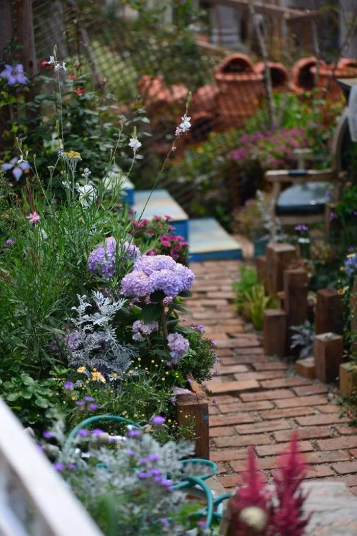 Mãn nhãn khu vườn đẹp như mê cung của người đàn ông yêu thích làm vườn ảnh 28