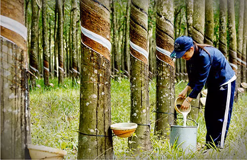 Đề xuất Danh mục nghề, công việc nặng nhọc, độc hại, nguy hiểm