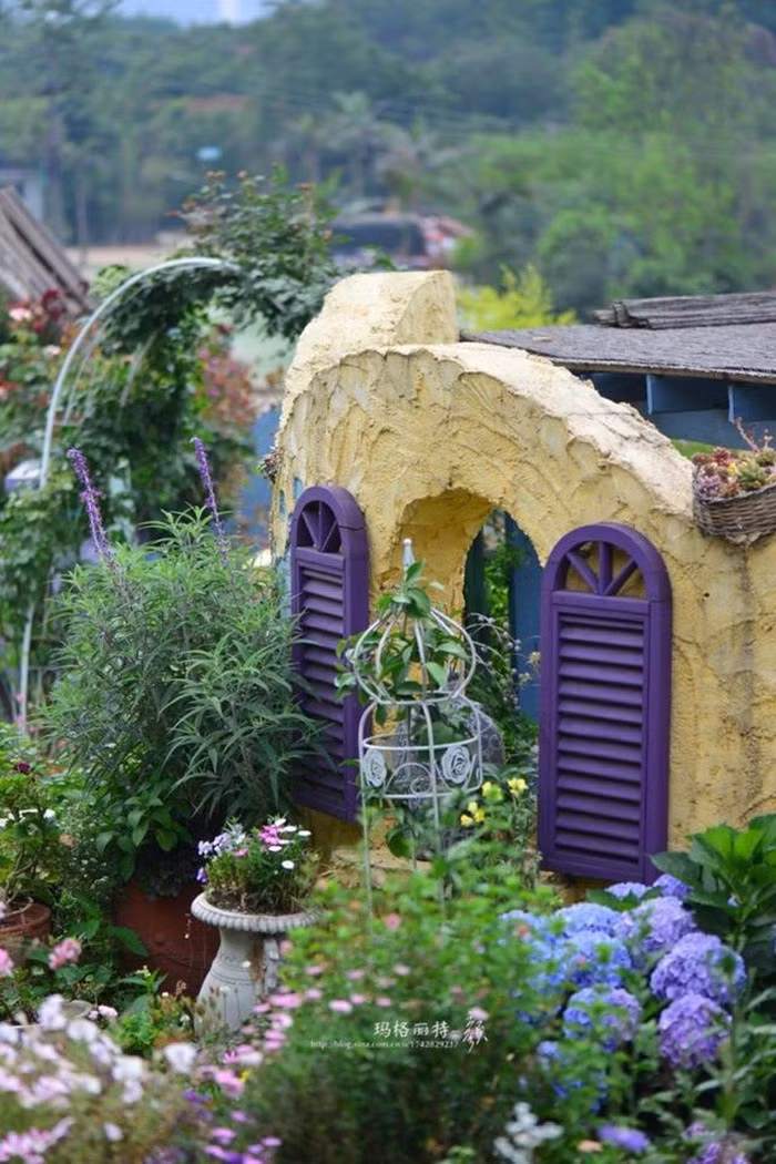 Mãn nhãn khu vườn đẹp như mê cung của người đàn ông yêu thích làm vườn ảnh 7