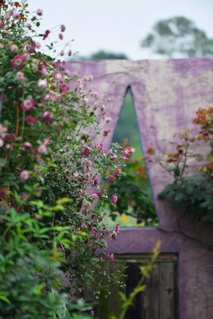 Mãn nhãn khu vườn đẹp như mê cung của người đàn ông yêu thích làm vườn ảnh 14