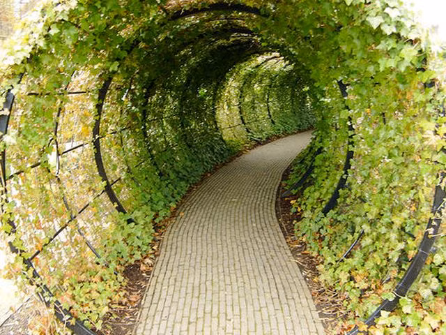 Khu vườn kỳ lạ: Nơi chạm vào cây cũng gây chết người - 2