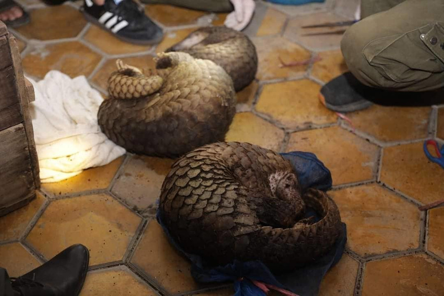 Khoang bí mật trong xe khách của vợ chồng 