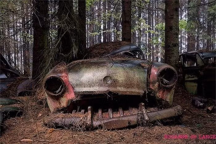 Bãi xe bí ẩn che giấu những câu chuyện kỳ bí trong rừng ảnh 5
