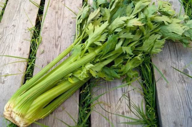 7 món không thể ăn trong mùa hè, nếu cố tình ăn có thể nguy hiểm đến tính mạng - Ảnh 3.