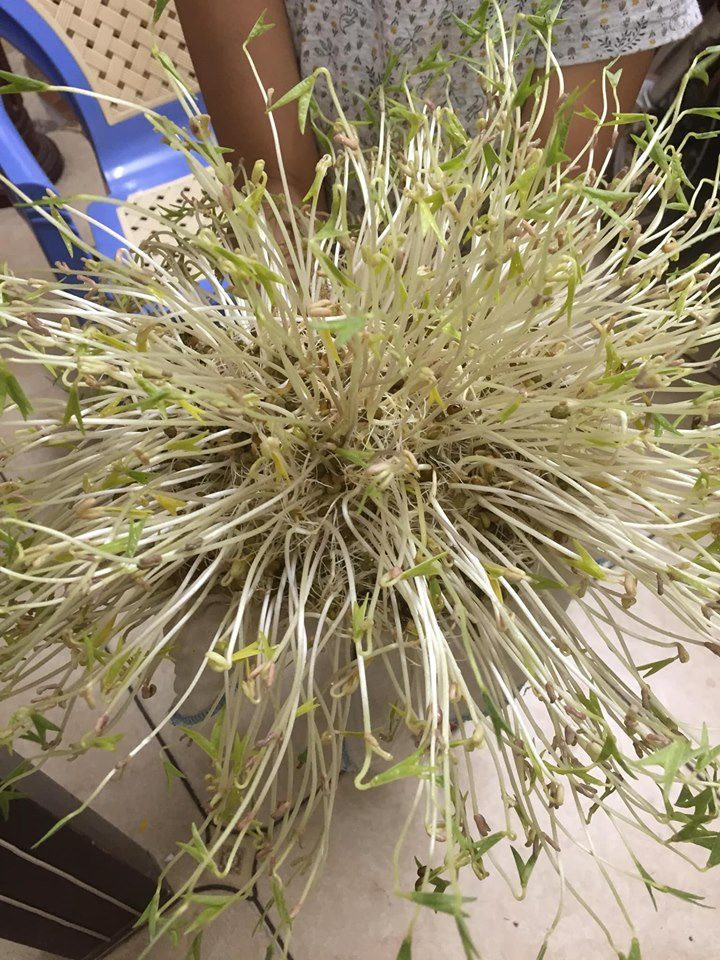 Những ảnh hài hước trong ngày ảnh 4