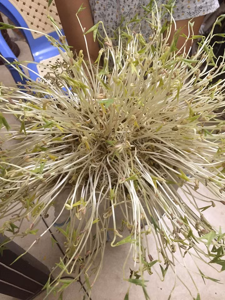 Những ảnh hài hước trong ngày ảnh 4