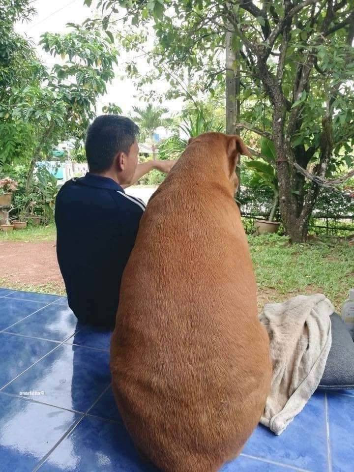 Những ảnh hài hước trong ngày ảnh 1