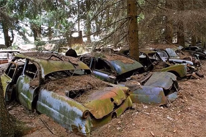 Bãi xe bí ẩn che giấu những câu chuyện kỳ bí trong rừng ảnh 7