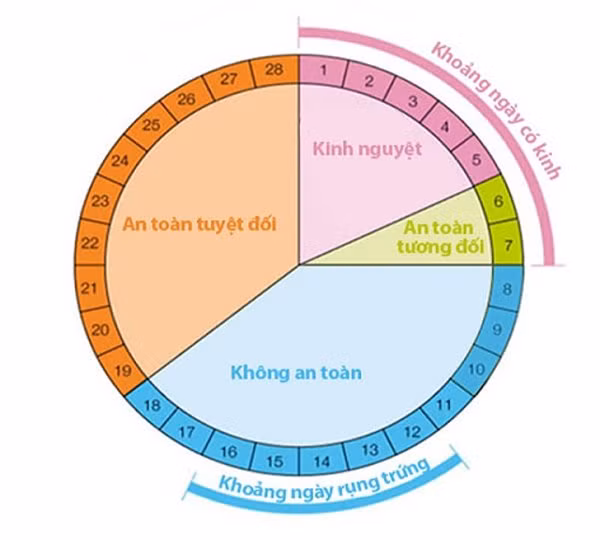 chu ky kinh nguyet: cach tinh chinh xac thoi gian rung trung - 4