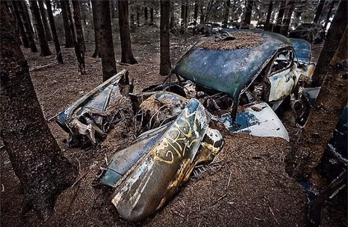 Bãi xe bí ẩn che giấu những câu chuyện kỳ bí trong rừng ảnh 11