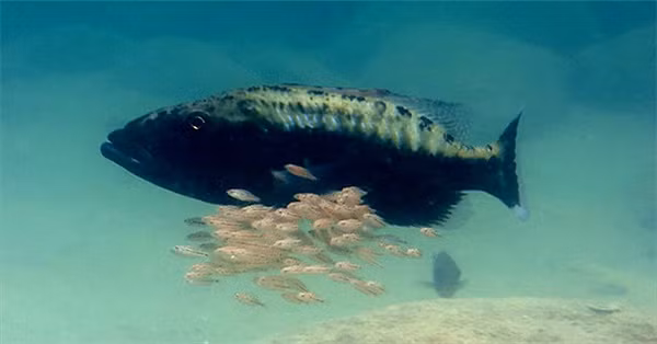 3 điều trân quý nhất của cuộc đời, ai cũng cần bảo vệ bằng cả tính mạng