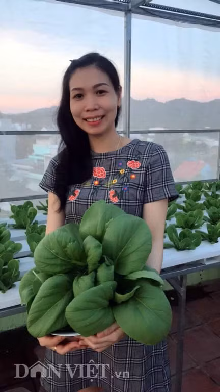 vuon toan rau sieu khong lo tren san thuong 35m2 cua bo dam nha trang - 17