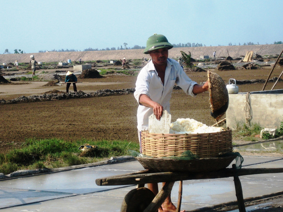 Nghề làm muối ở Tam Hòa bây giờ chỉ còn người trung tuổi