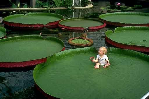 10 "kỳ cây" lạc chốn nhân gian trên thế giới hình ảnh 3 10 "ky cay" lac chon nhan gian tren the gioi hinh anh 3