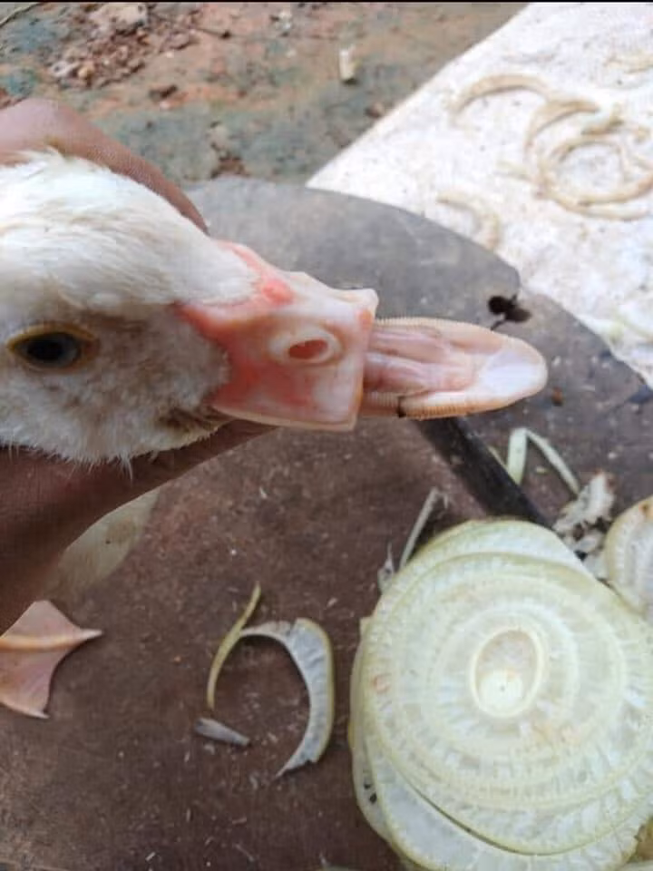 Những ảnh hài hước trong ngày ảnh 9