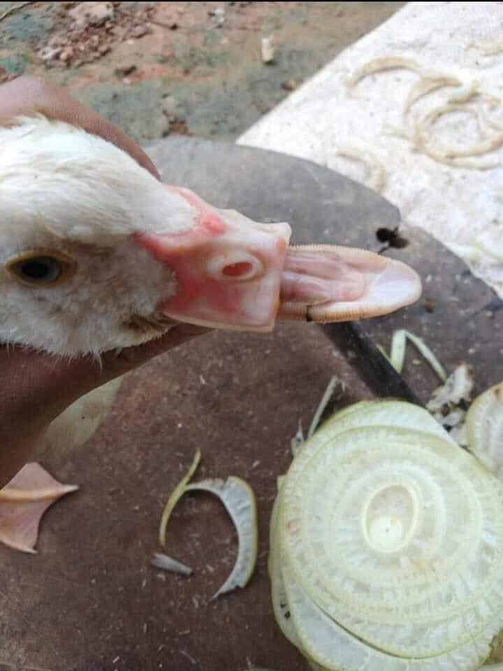 Những ảnh hài hước trong ngày ảnh 9