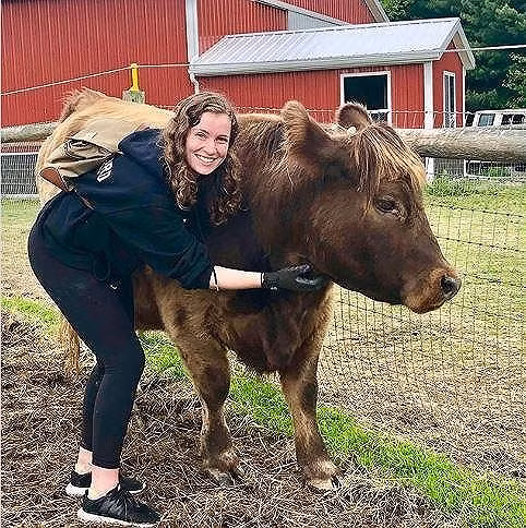 Bạn có dám bỏ ra 1,7 triệu đồng/giờ để chơi với bò? - ảnh 4