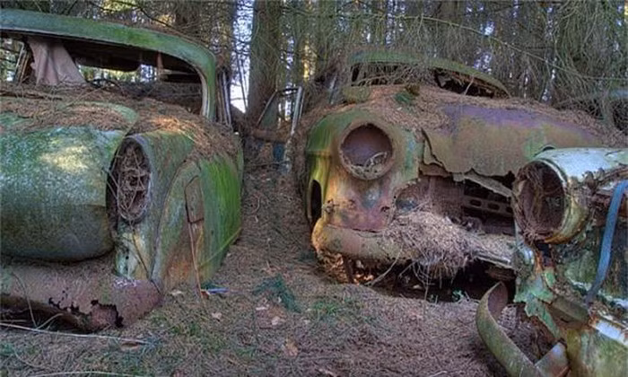 Bãi xe bí ẩn che giấu những câu chuyện kỳ bí trong rừng ảnh 2