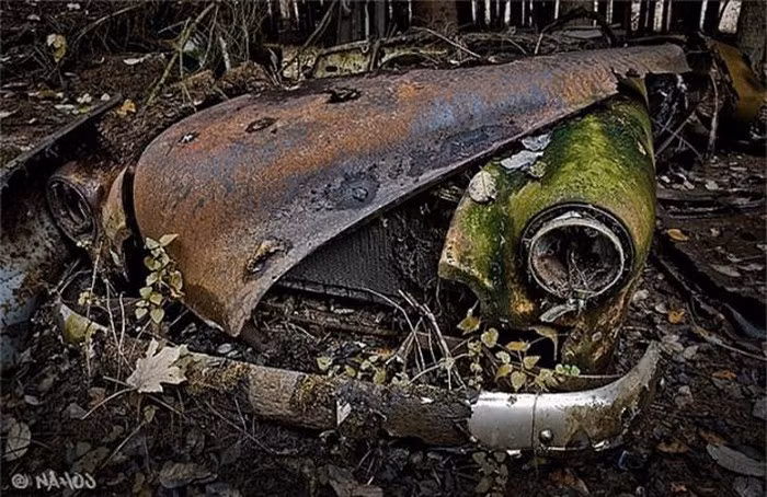 Bãi xe bí ẩn che giấu những câu chuyện kỳ bí trong rừng ảnh 1