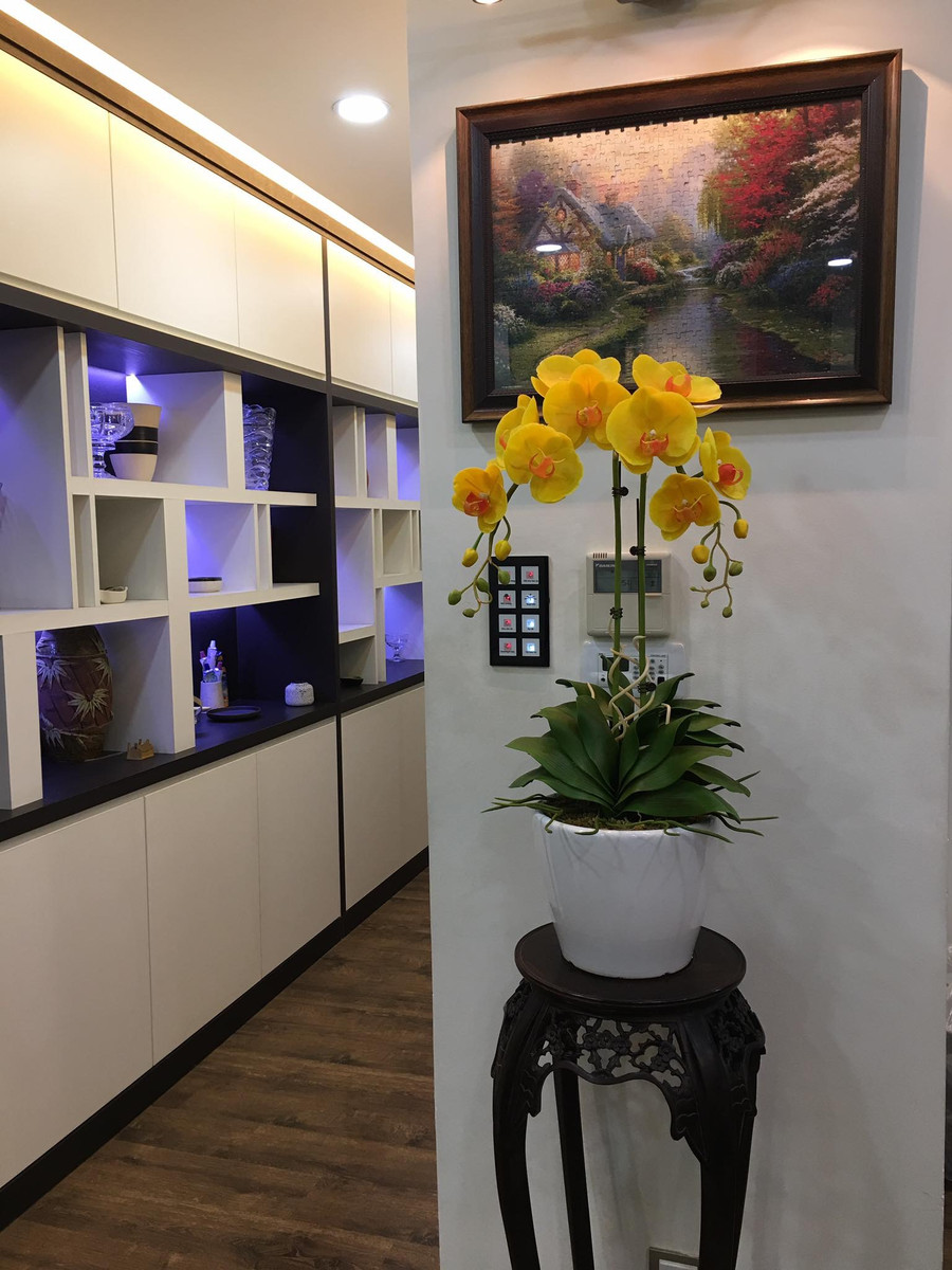 Hoa lan hồ điệp