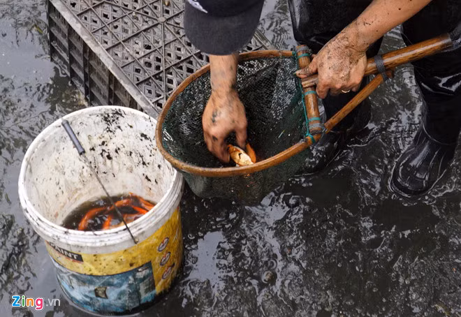 Anh: Lang ca chep xu Thanh tat bat thu hoach truoc ngay ong Tao ve troi hinh anh 6