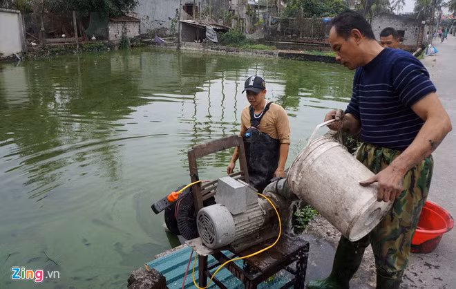 Anh: Lang ca chep xu Thanh tat bat thu hoach truoc ngay ong Tao ve troi hinh anh 1