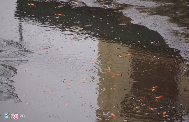 Anh: Lang ca chep xu Thanh tat bat thu hoach truoc ngay ong Tao ve troi hinh anh 4