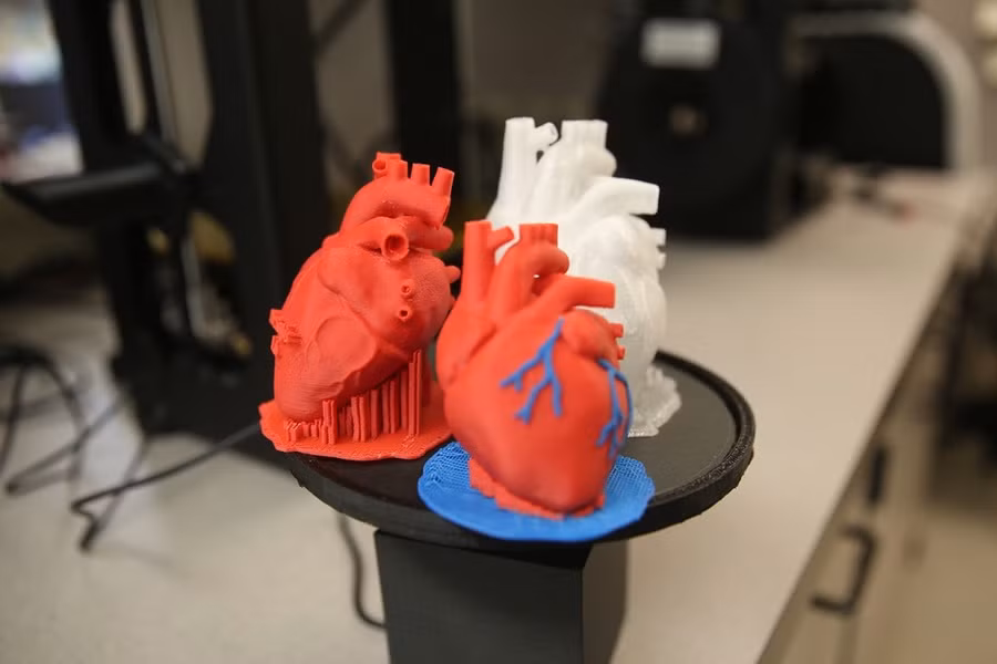 NASA sẽ in 3D nội tạng người trên vũ trụ và đây là lý do khiến họ phải làm điều đó - Ảnh 2.