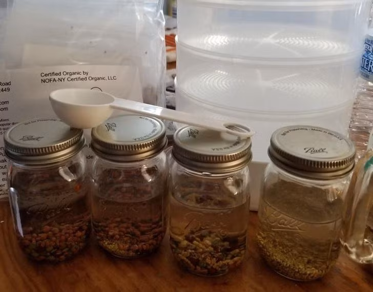 9 bước trồng một "khu vườn xanh" trong mơ