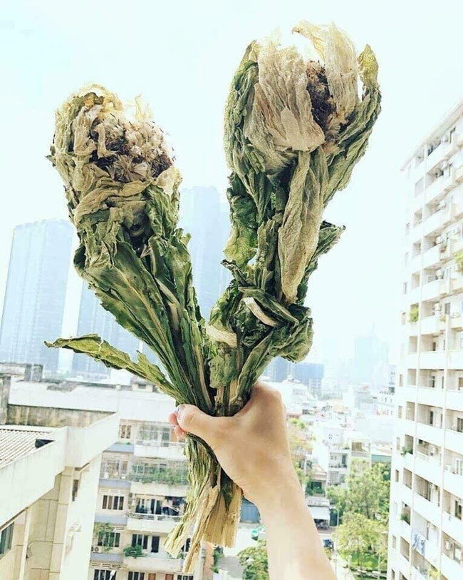 Đổ xô săn lùng bông hoa được xem là thảo dược quý giá trong truyện Kim Dung ảnh 13 Cận cảnh bông hoa không dưới 5 triệu đồng đang được dân chơi Việt săn lùng-13