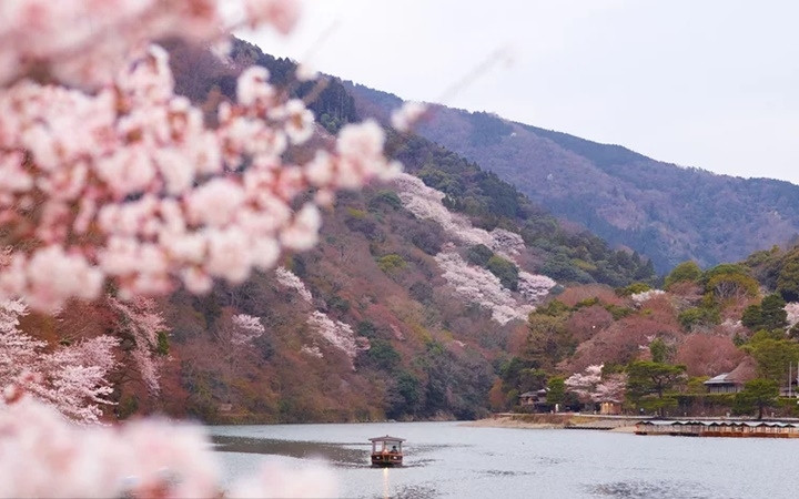 Những người đi du lịch một mình sẽ rất thích Nhật Bản. Các căn phòng khách sạn với thiết kế siêu nhỏ, nhưng đầy tiện ích sẽ khiến du khách vô cùng thích thú. Những người đi du lịch một mình sẽ rất thích Nhật Bản. Các căn phòng khách sạn với thiết kế siêu nhỏ, nhưng đầy tiện ích sẽ khiến du khách vô cùng thích thú.