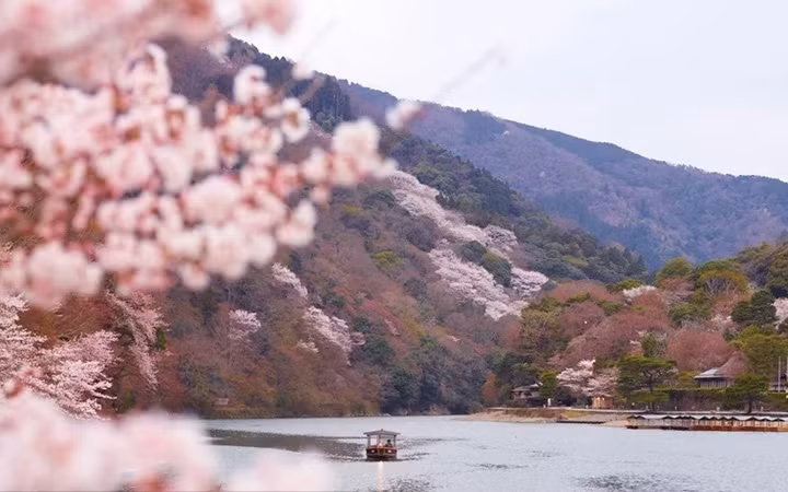 Những người đi du lịch một mình sẽ rất thích Nhật Bản. Các căn phòng khách sạn với thiết kế siêu nhỏ, nhưng đầy tiện ích sẽ khiến du khách vô cùng thích thú. Những người đi du lịch một mình sẽ rất thích Nhật Bản. Các căn phòng khách sạn với thiết kế siêu nhỏ, nhưng đầy tiện ích sẽ khiến du khách vô cùng thích thú.