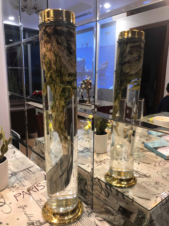 Đổ xô săn lùng bông hoa được xem là thảo dược quý giá trong truyện Kim Dung ảnh 17 Cận cảnh bông hoa không dưới 5 triệu đồng đang được dân chơi Việt săn lùng-17