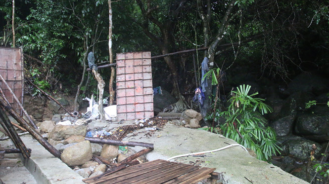 Lũ đổ về bán đảo Sơn Trà, 5 người thoát chết kỳ diệu giữa rừng heo hút ảnh 5 Lũ đổ về bán đảo Sơn Trà, 5 người thoát chết kỳ diệu giữa rừng heo hút - ảnh 5