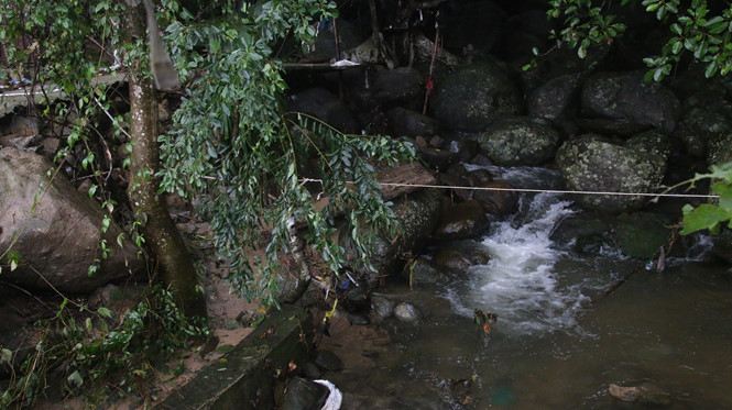 Lũ đổ về bán đảo Sơn Trà, 5 người thoát chết kỳ diệu giữa rừng heo hút - ảnh 3