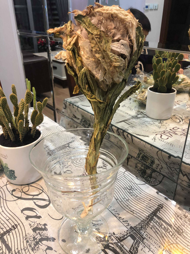 Đổ xô săn lùng bông hoa được xem là thảo dược quý giá trong truyện Kim Dung ảnh 8 Cận cảnh bông hoa không dưới 5 triệu đồng đang được dân chơi Việt săn lùng-8