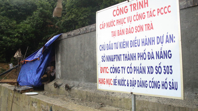 Lũ đổ về bán đảo Sơn Trà, 5 người thoát chết kỳ diệu giữa rừng heo hút ảnh 2 Lũ đổ về bán đảo Sơn Trà, 5 người thoát chết kỳ diệu giữa rừng heo hút - ảnh 2